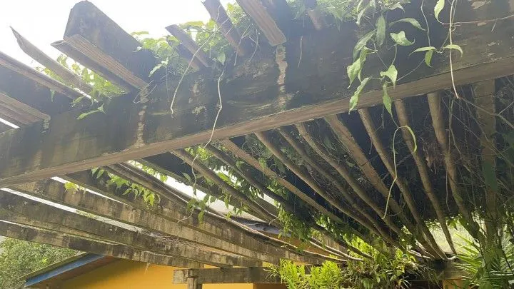 Sítio à venda de 81 ha em Maquiné, RS, Brasil