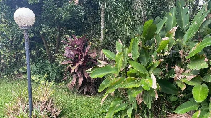 Sítio à venda de 81 ha em Maquiné, RS, Brasil