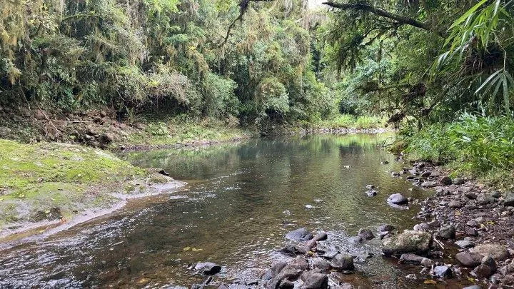 Sítio à venda de 81 ha em Maquiné, RS, Brasil