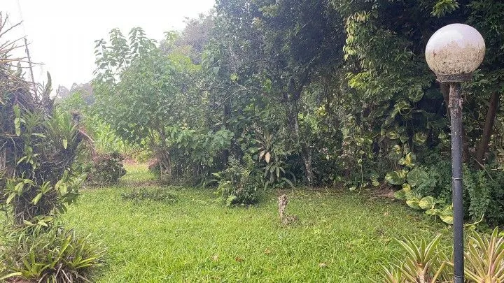 Sítio à venda de 81 ha em Maquiné, RS, Brasil