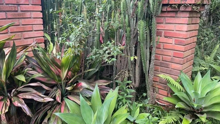 Sítio à venda de 81 ha em Maquiné, RS, Brasil