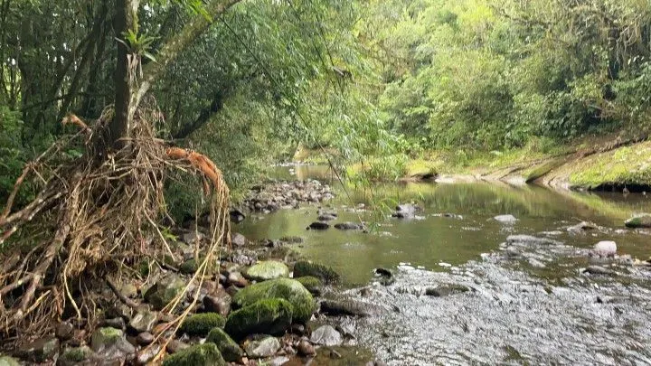 Sítio à venda de 81 ha em Maquiné, RS, Brasil
