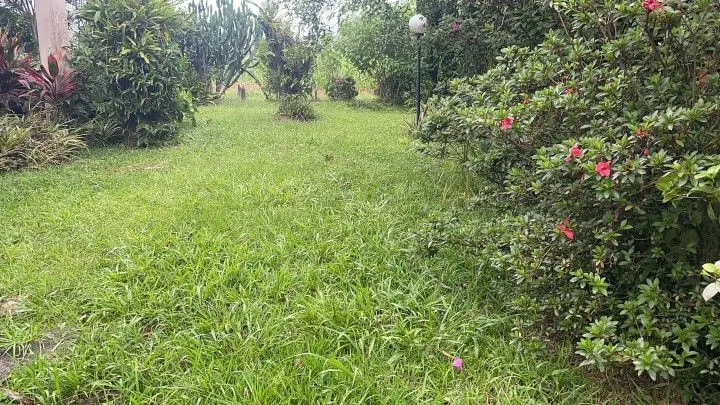 Sítio à venda de 81 ha em Maquiné, RS, Brasil