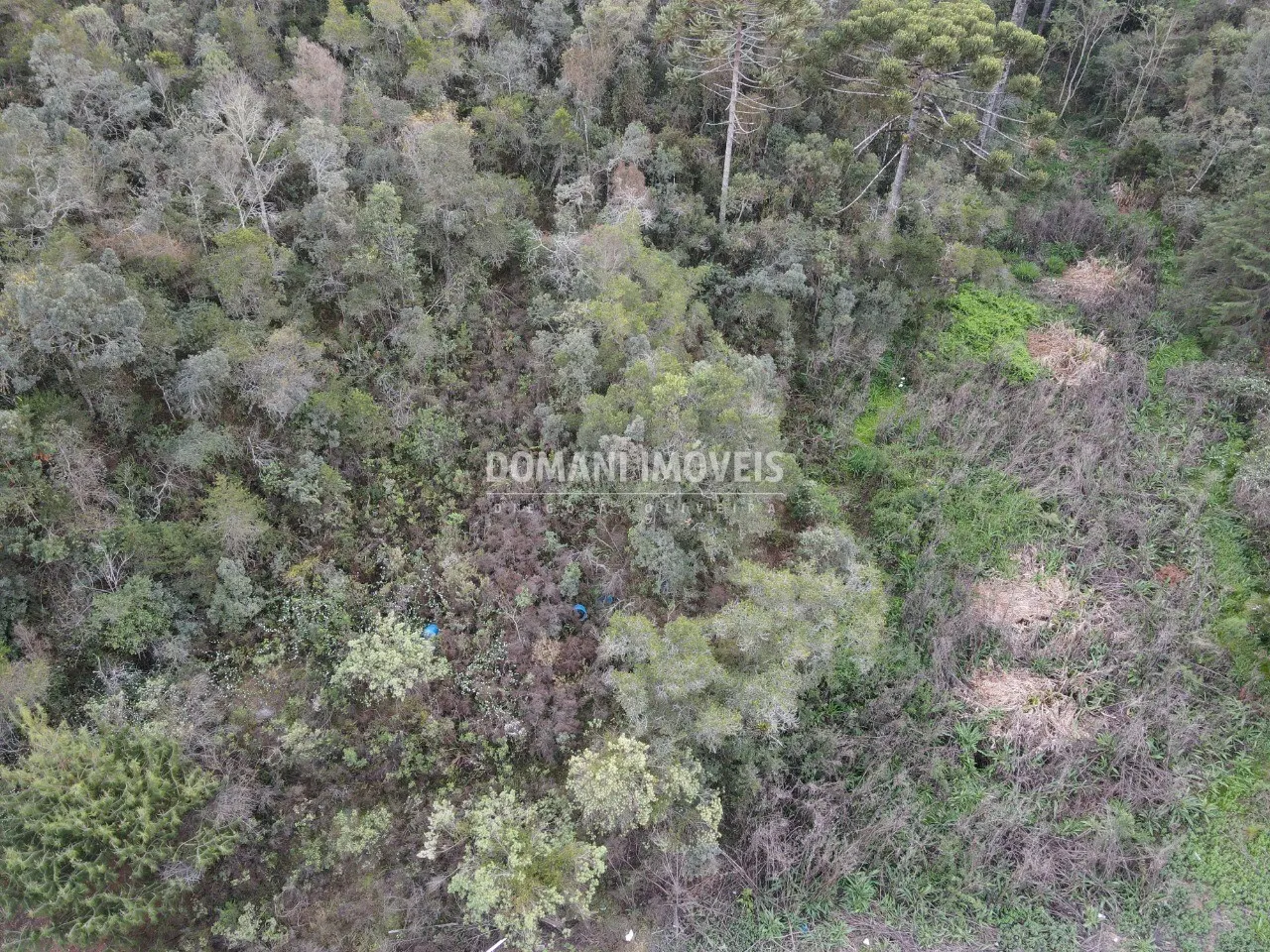 Plot for sale of 4 acres in Campos do Jordão, SP, Brazil