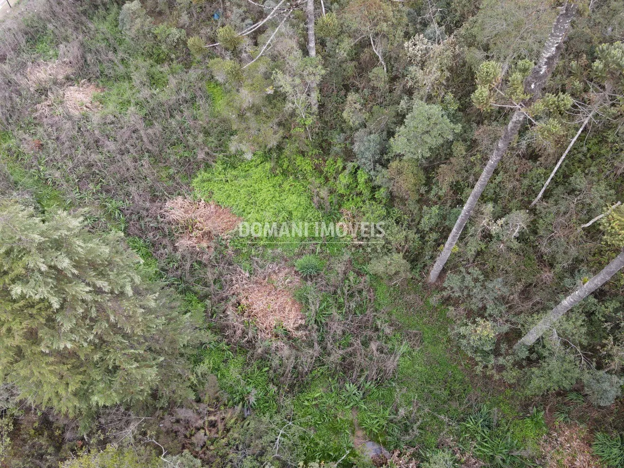Plot for sale of 4 acres in Campos do Jordão, SP, Brazil