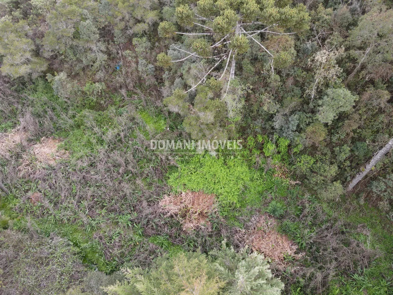 Plot for sale of 4 acres in Campos do Jordão, SP, Brazil