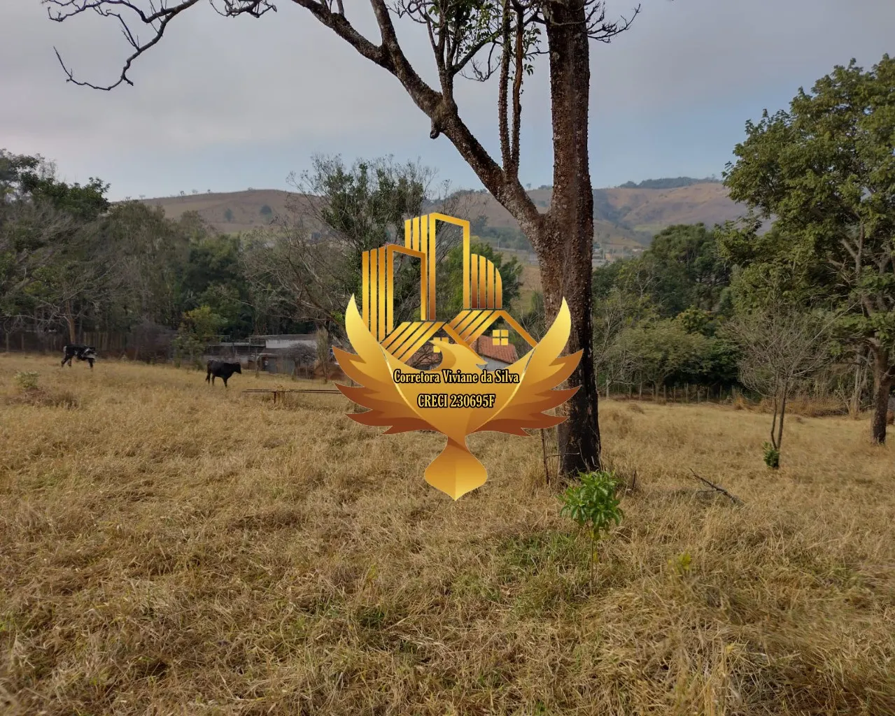 Terreno à venda de 2 ha em Taubaté, SP, Brasil