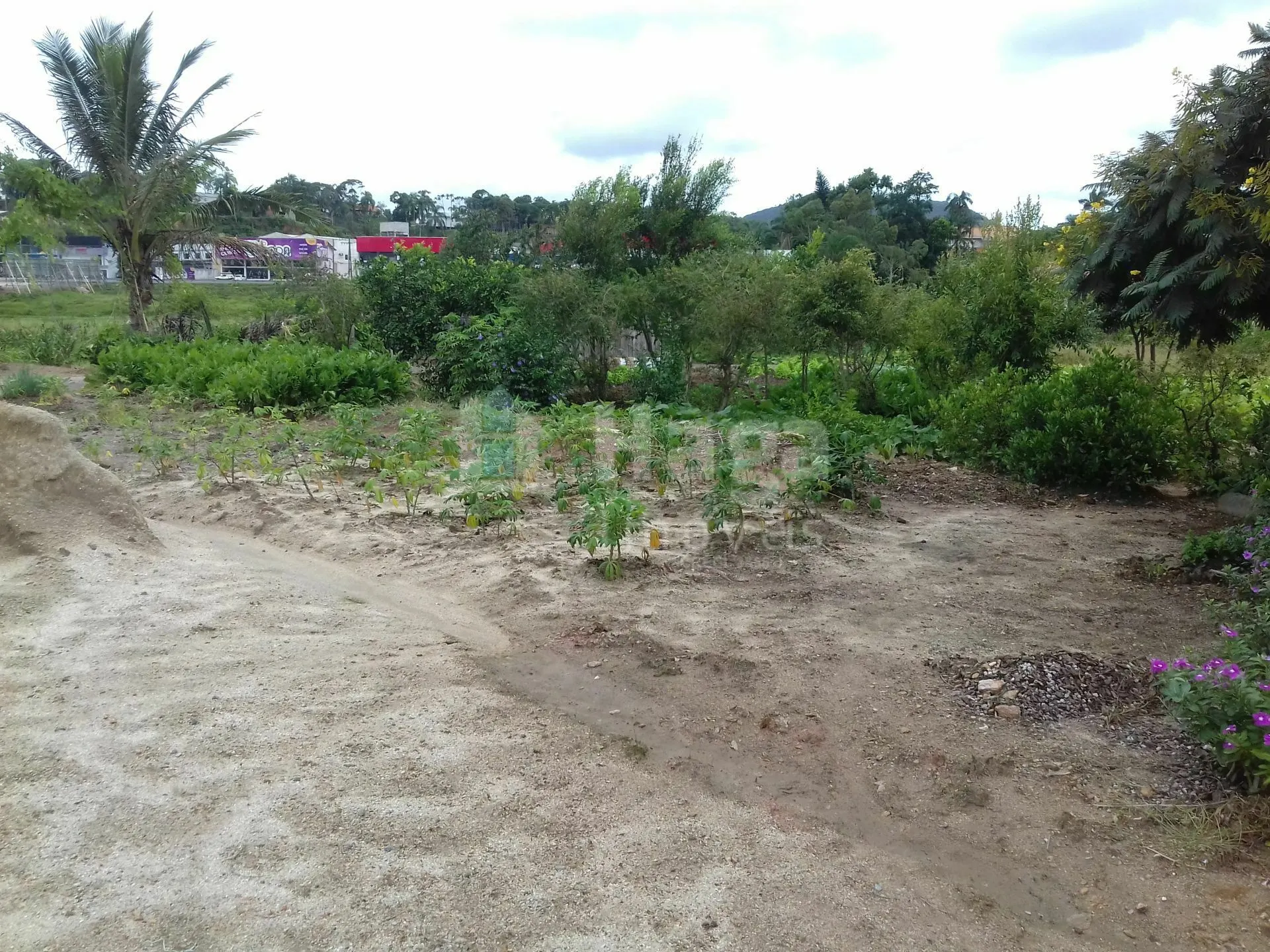 House for sale of 3,192 m² in Brusque, SC, Brazil