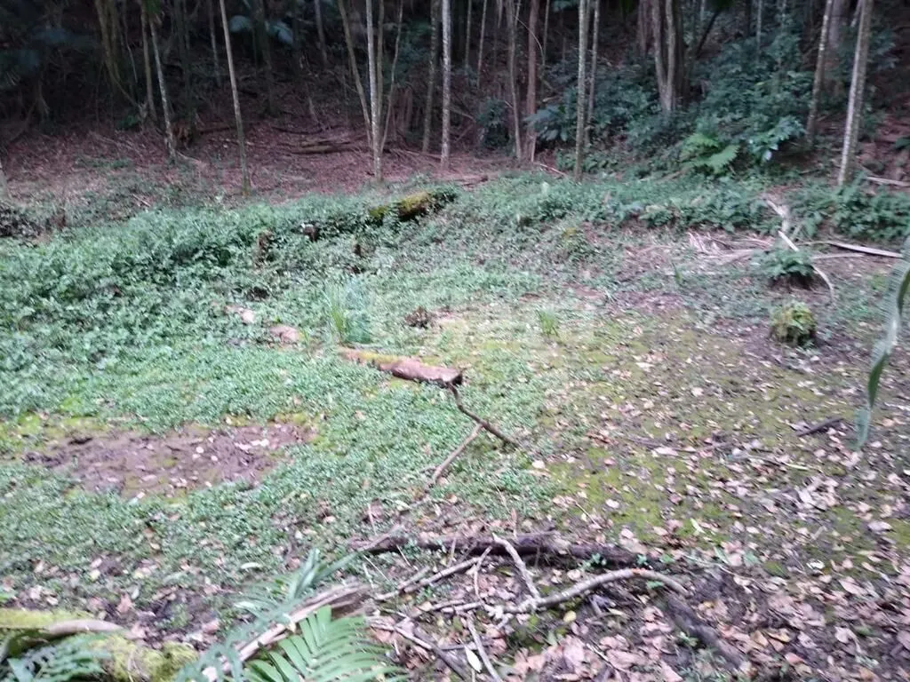 Fazenda à venda de 3 ha em Camboriú, SC, Brasil