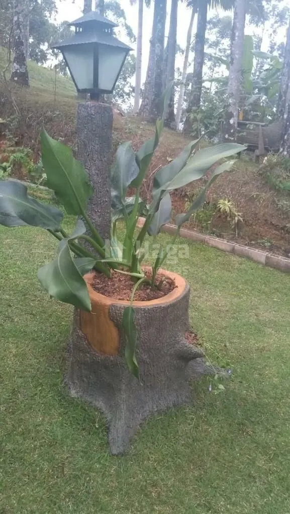 Fazenda à venda de 3 ha em Camboriú, SC, Brasil
