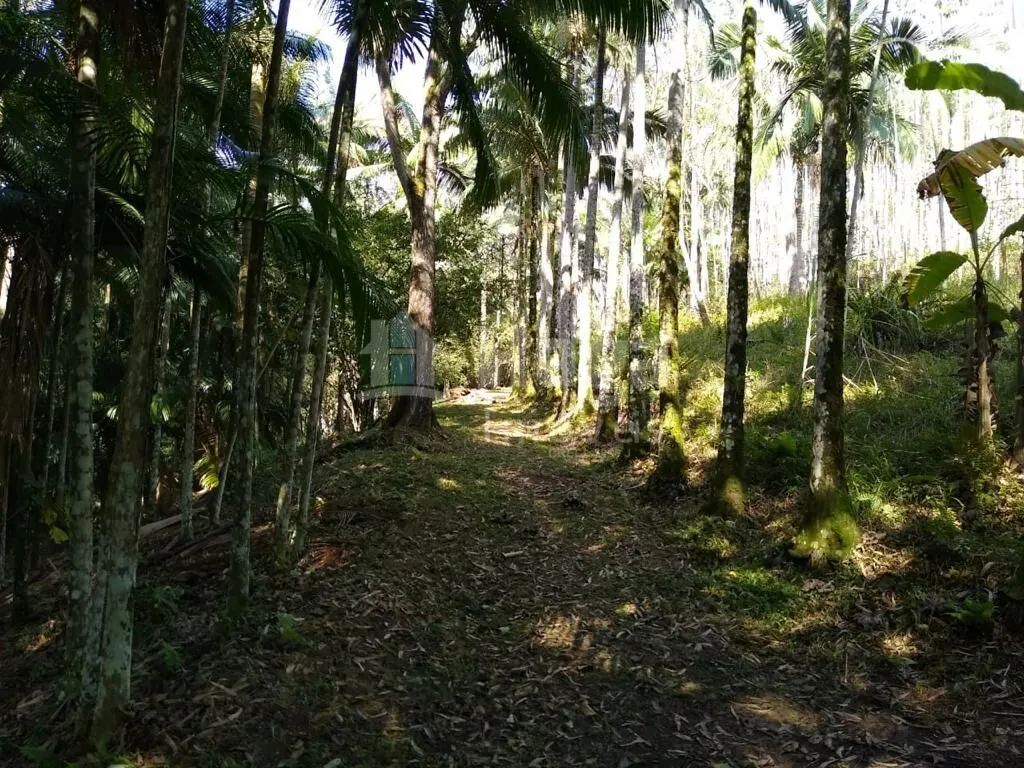 Fazenda à venda de 3 ha em Camboriú, SC, Brasil