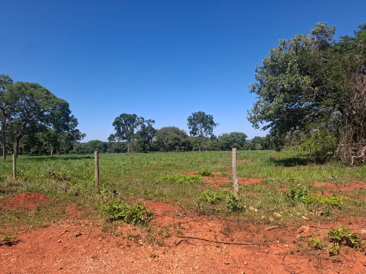 Fazenda à venda de 536 ha em Curvelo, MG, Brasil