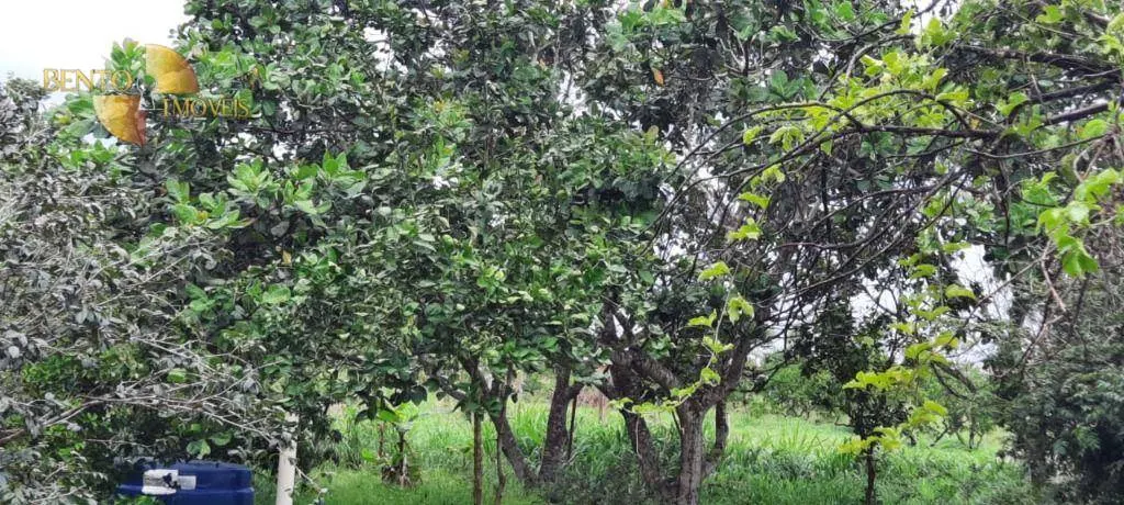 Country home for sale of 17 acres in Cuiabá, MT, Brazil