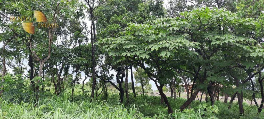 Country home for sale of 17 acres in Cuiabá, MT, Brazil