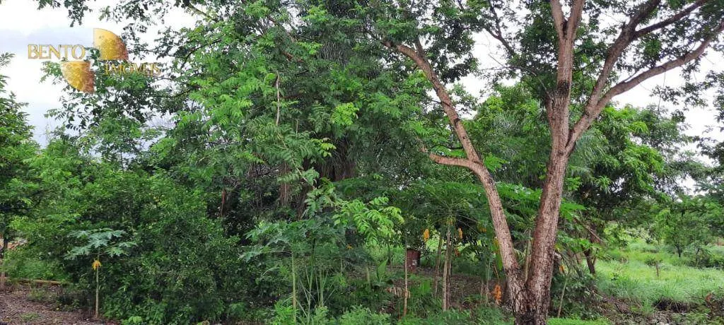 Country home for sale of 17 acres in Cuiabá, MT, Brazil