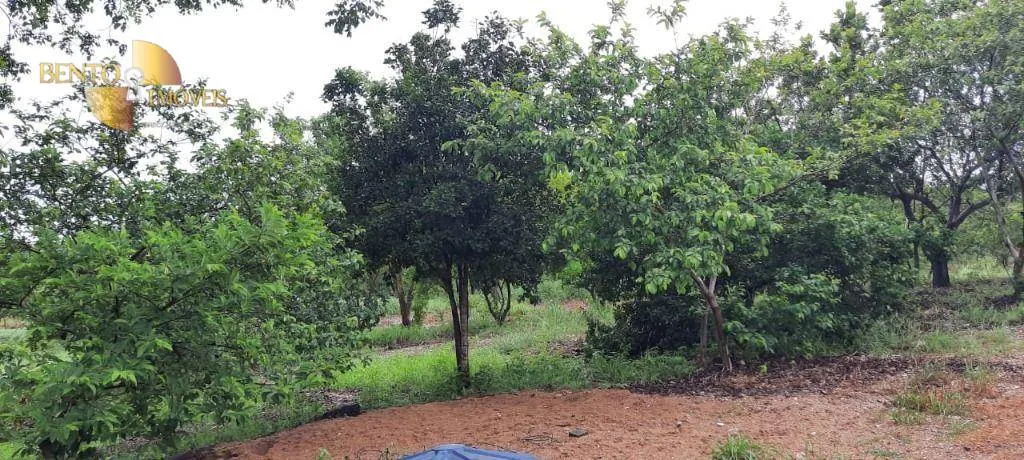Country home for sale of 17 acres in Cuiabá, MT, Brazil