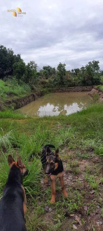 Chácara à venda de 7 ha em Cuiabá, MT, Brasil