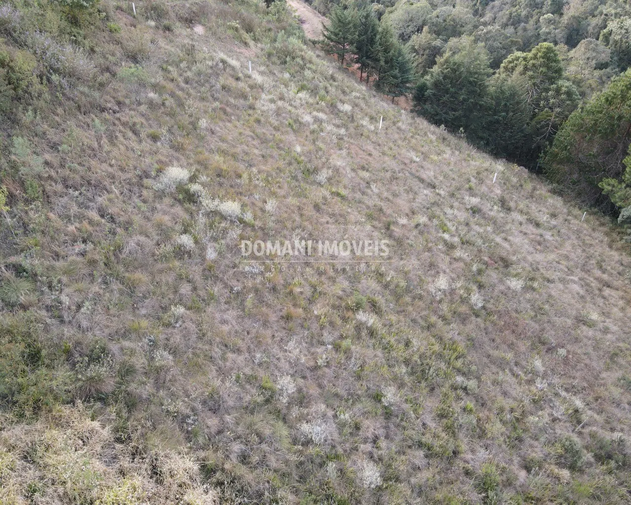 Terreno à venda de 5.030 m² em Campos do Jordão, SP, Brasil