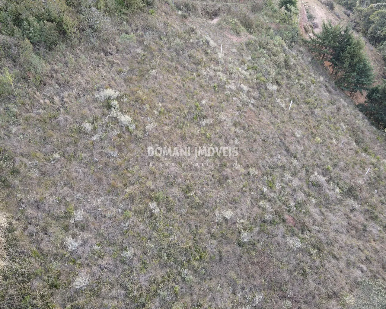 Terreno à venda de 5.030 m² em Campos do Jordão, SP, Brasil