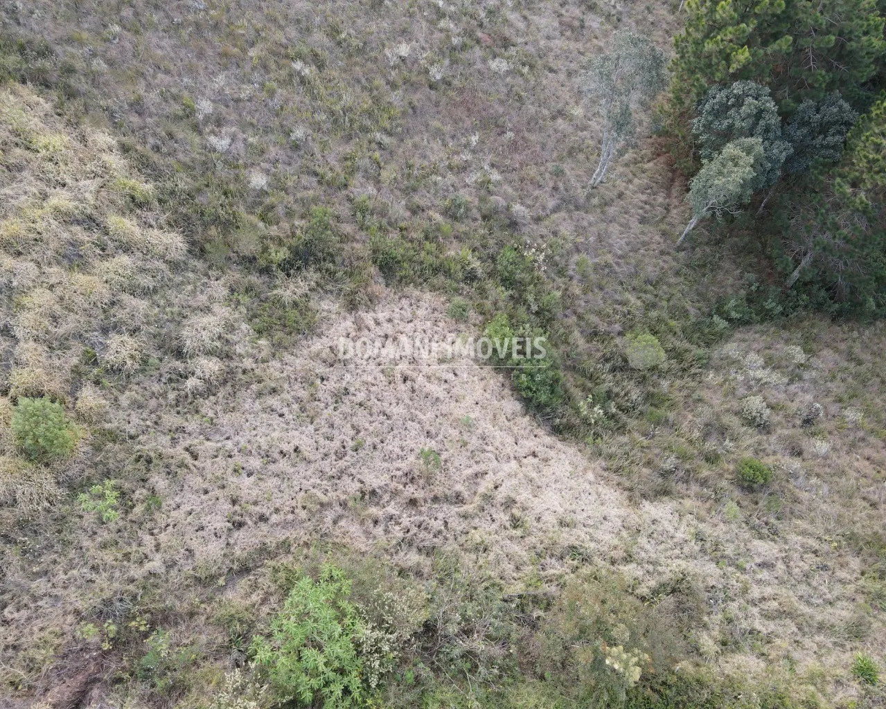 Terreno à venda de 5.030 m² em Campos do Jordão, SP, Brasil