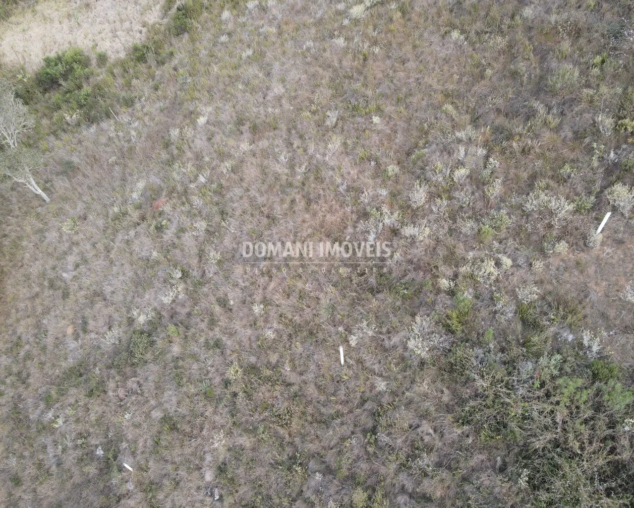 Terreno à venda de 5.030 m² em Campos do Jordão, SP, Brasil