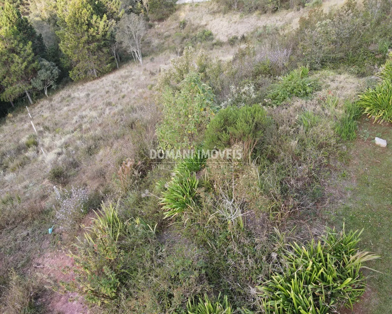 Terreno à venda de 5.030 m² em Campos do Jordão, SP, Brasil