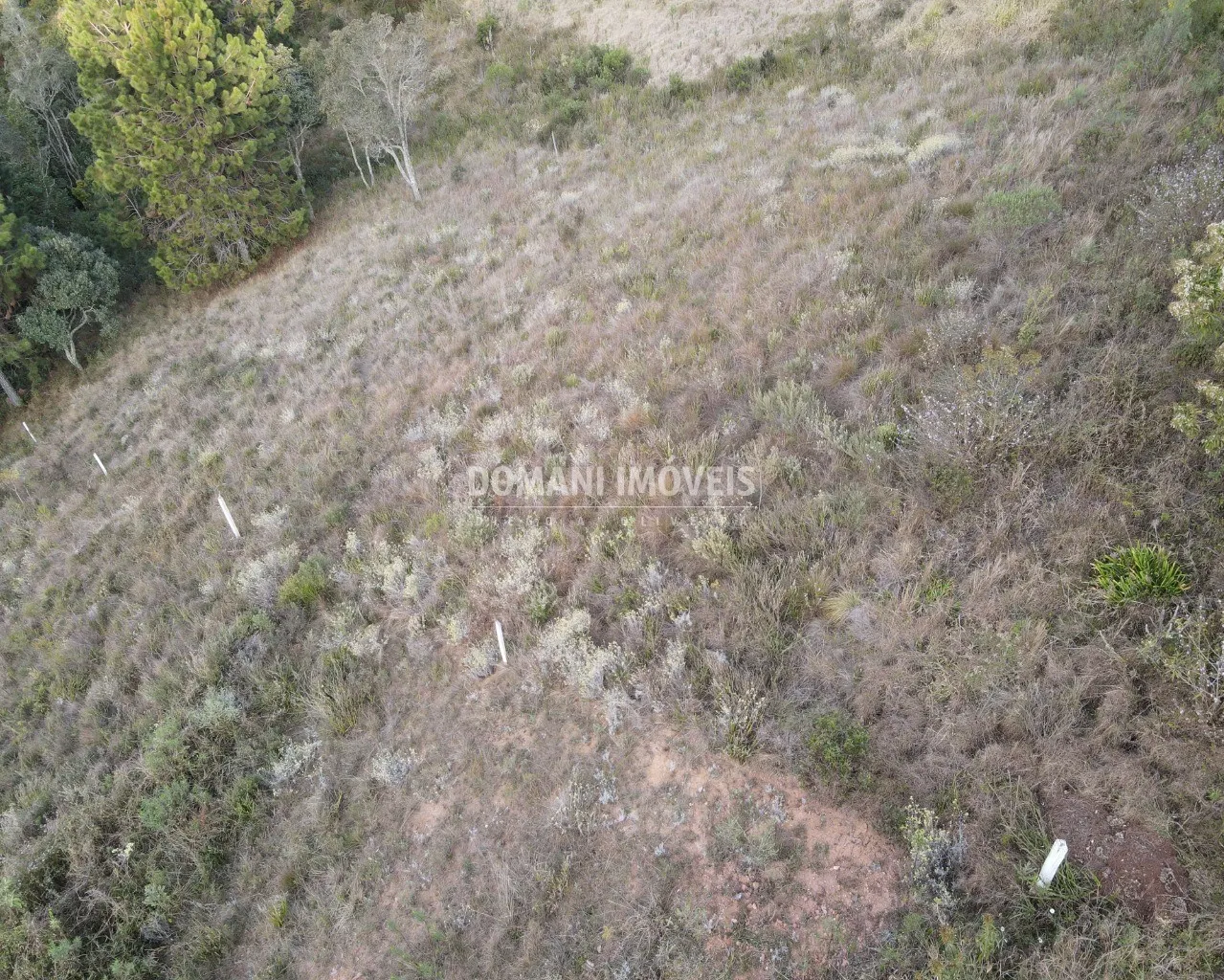 Terreno à venda de 5.030 m² em Campos do Jordão, SP, Brasil