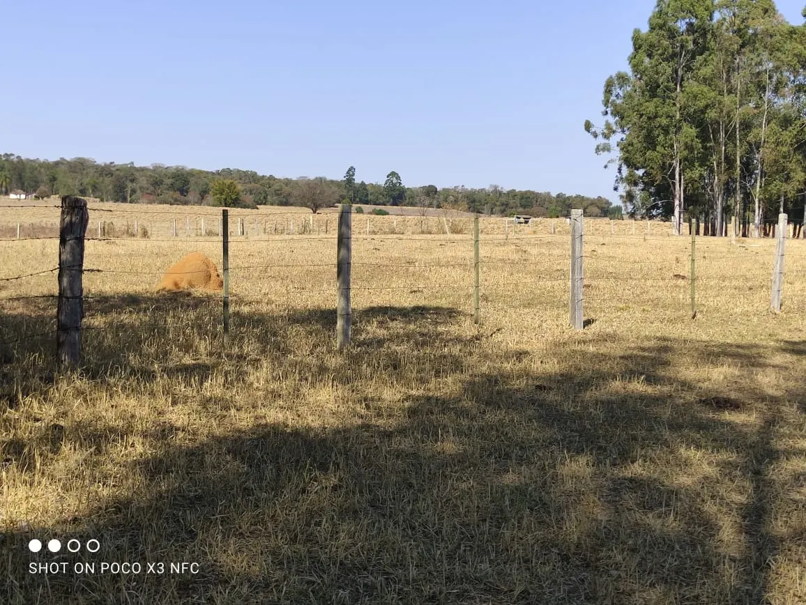 Sítio à venda de 29 ha em Angatuba, SP, Brasil