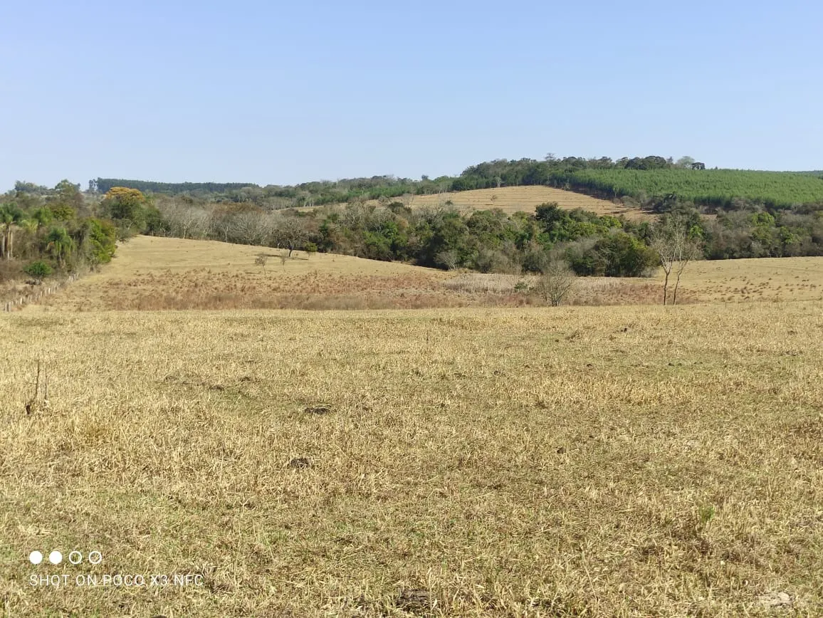 Sítio à venda de 29 ha em Angatuba, SP, Brasil