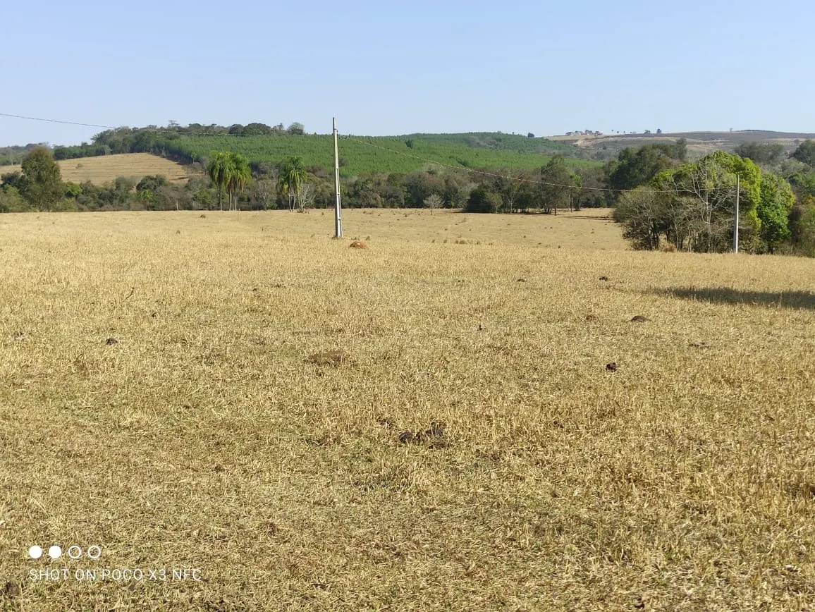 Sítio à venda de 29 ha em Angatuba, SP, Brasil