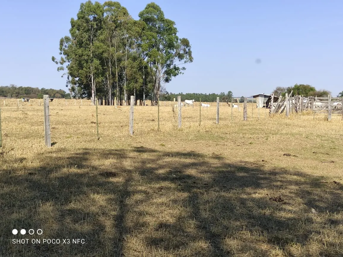 Sítio à venda de 29 ha em Angatuba, SP, Brasil