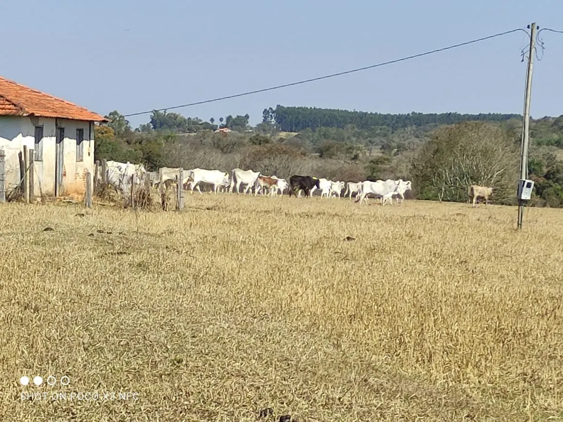 Sítio à venda de 29 ha em Angatuba, SP, Brasil