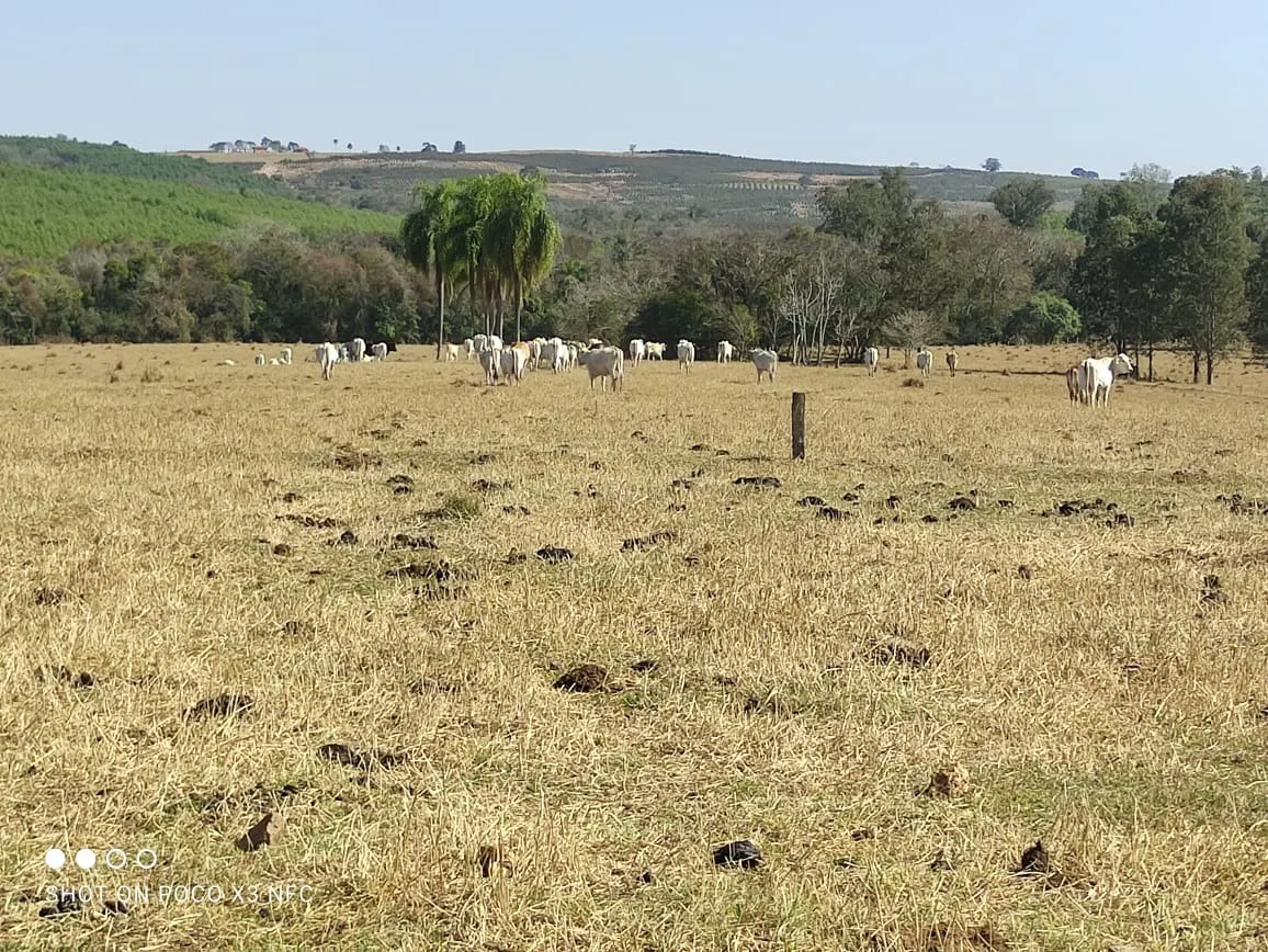 Sítio à venda de 29 ha em Angatuba, SP, Brasil