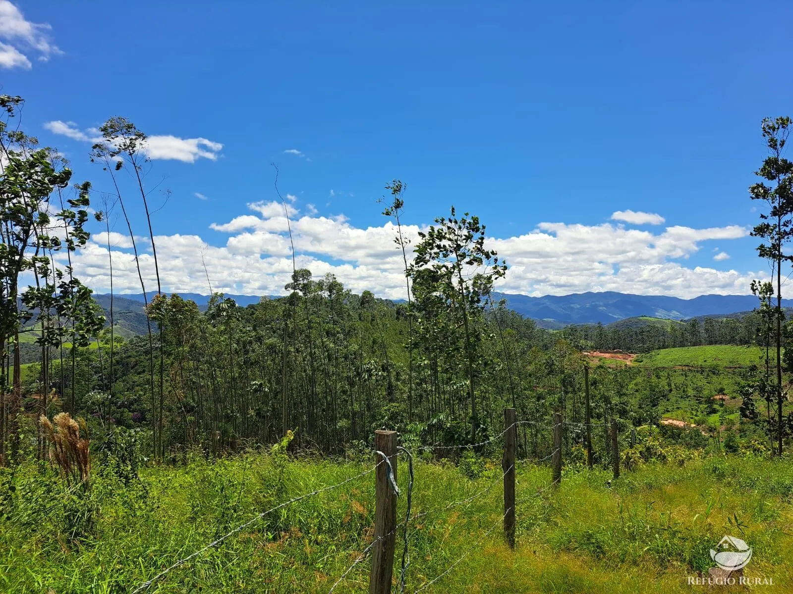 Terreno à venda de 3 ha em Monteiro Lobato, SP, Brasil