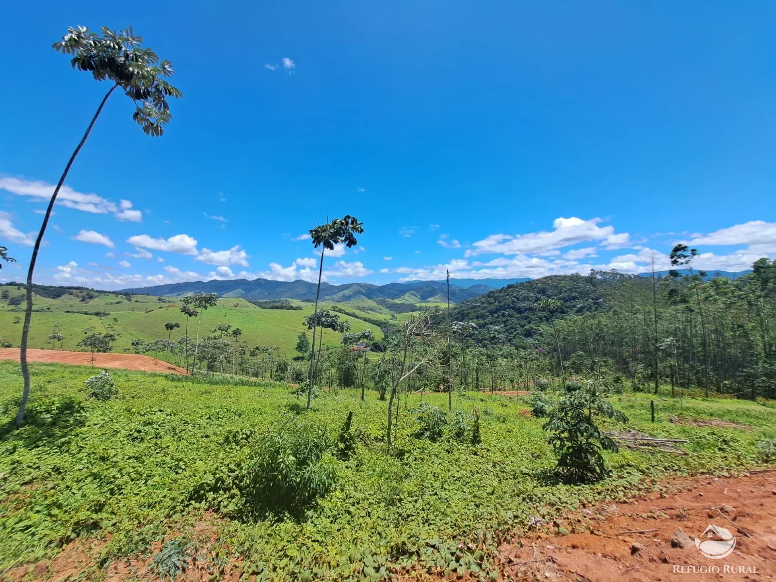 Terreno à venda de 3 ha em Monteiro Lobato, SP, Brasil