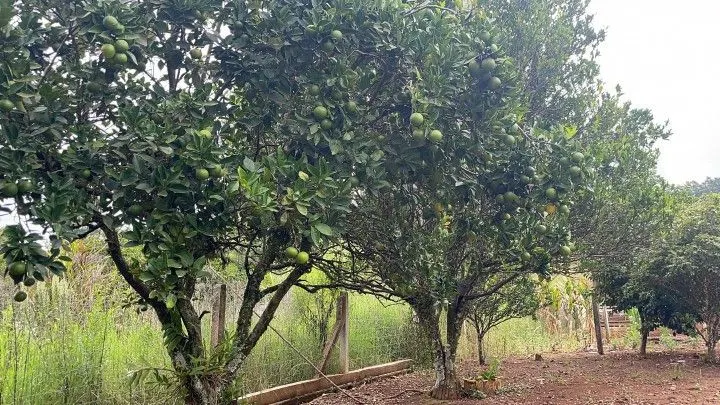Country home for sale of 1,900 m² in Caraá, RS, Brazil