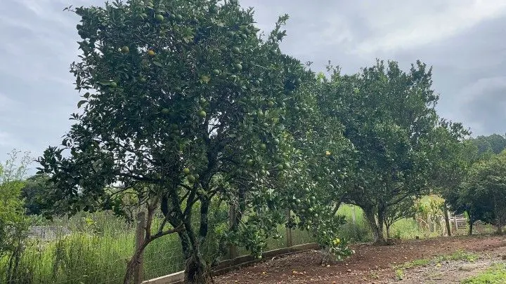 Country home for sale of 1,900 m² in Caraá, RS, Brazil