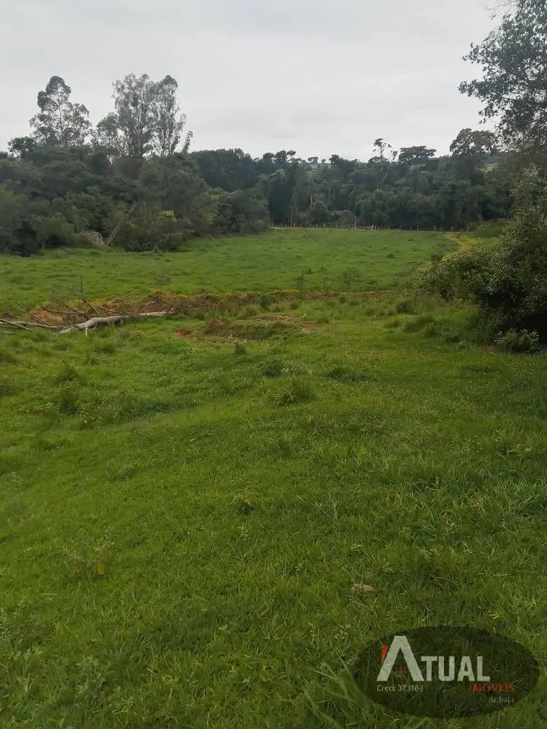 Small farm for sale of 36 acres in Tatuí, SP, Brazil