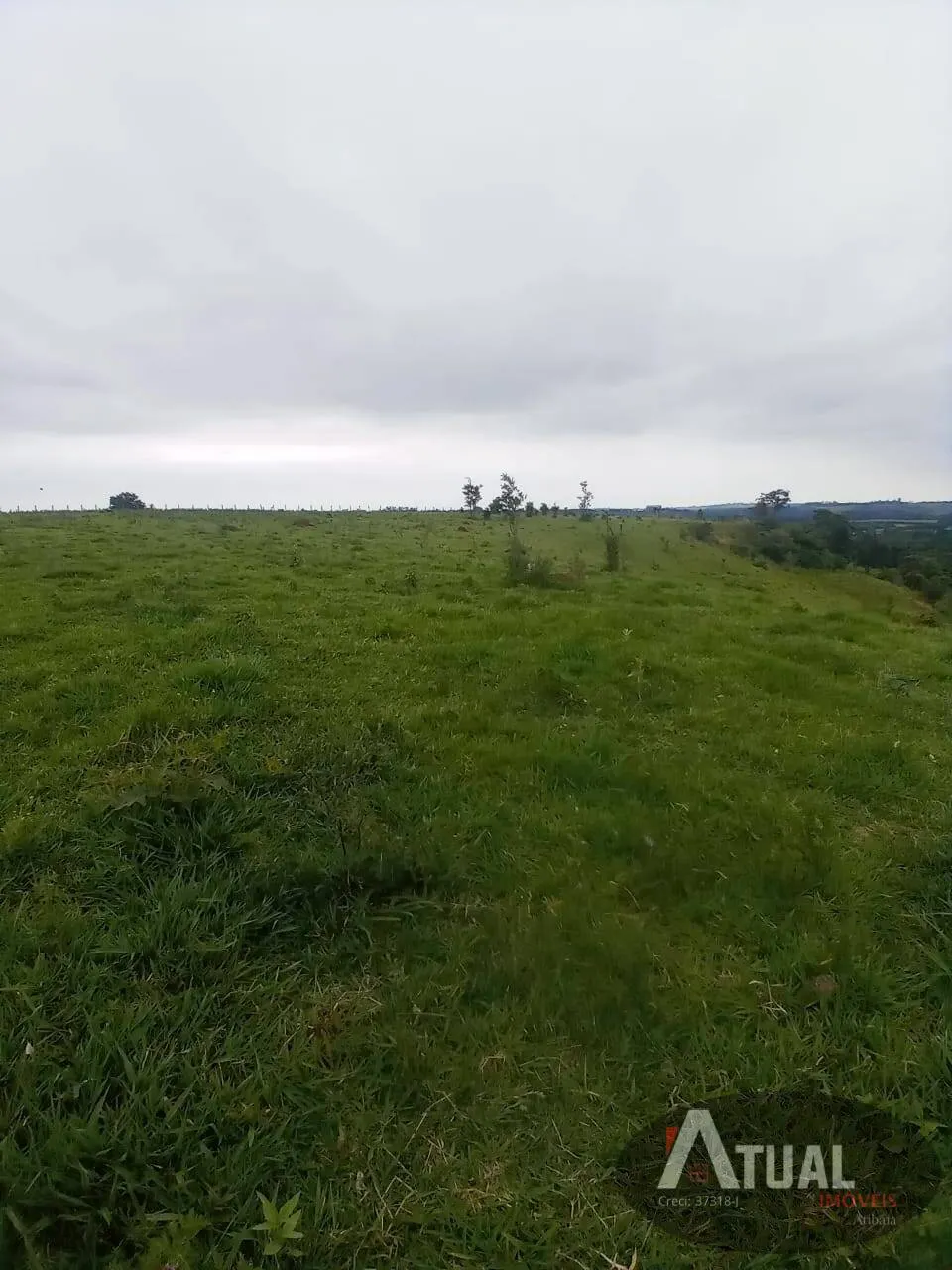 Small farm for sale of 36 acres in Tatuí, SP, Brazil