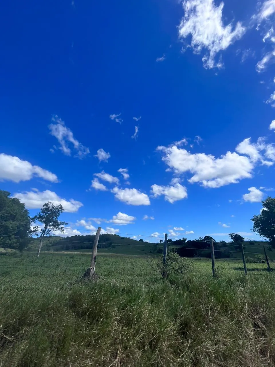 Fazenda à venda de 125 ha em Araruama, RJ, Brasil
