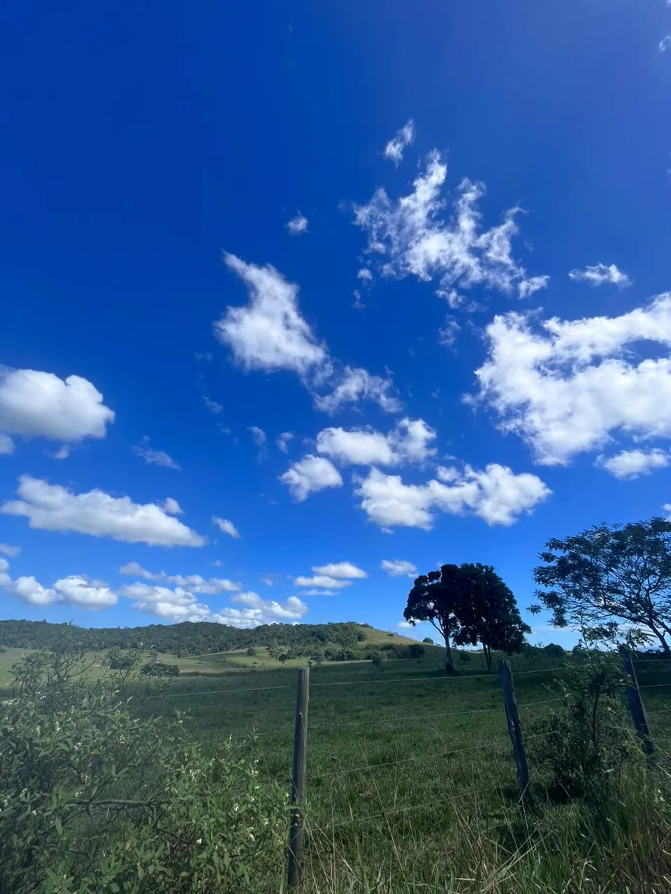 Fazenda à venda de 125 ha em Araruama, RJ, Brasil