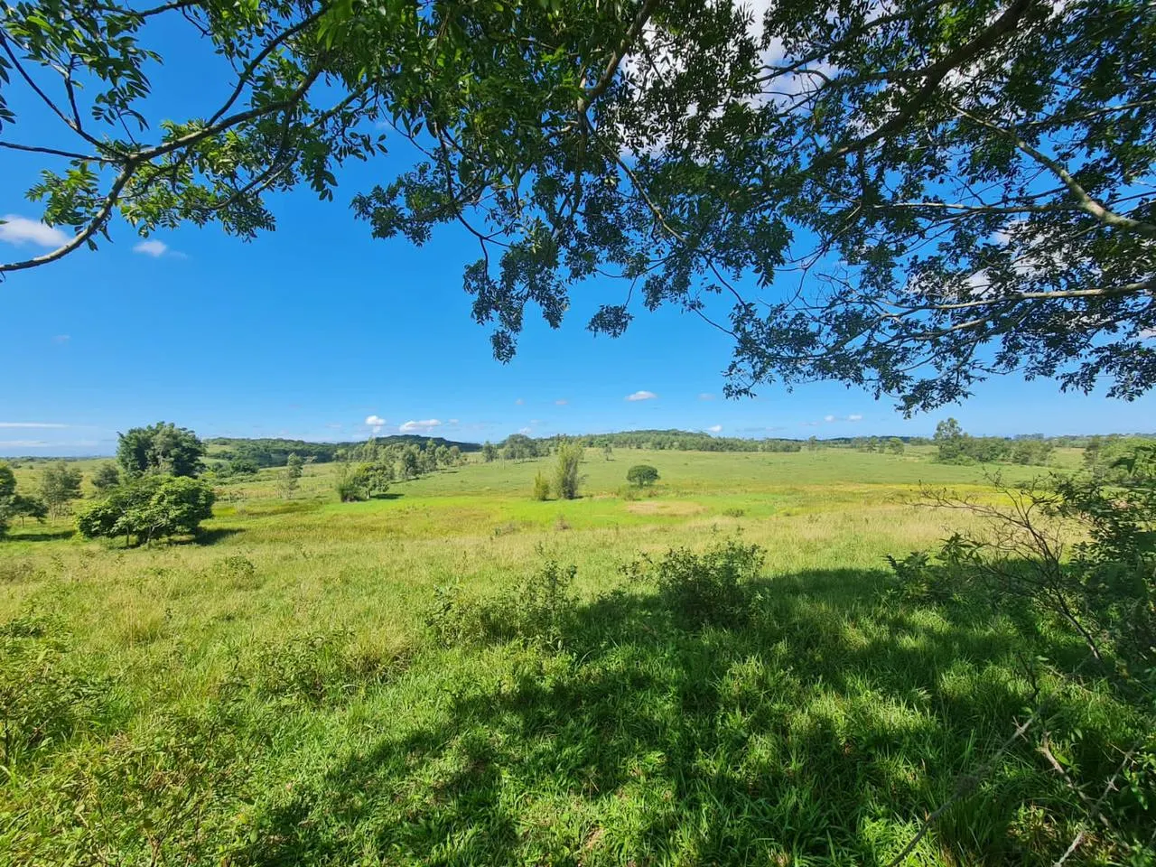 Fazenda à venda de 125 ha em Araruama, RJ, Brasil