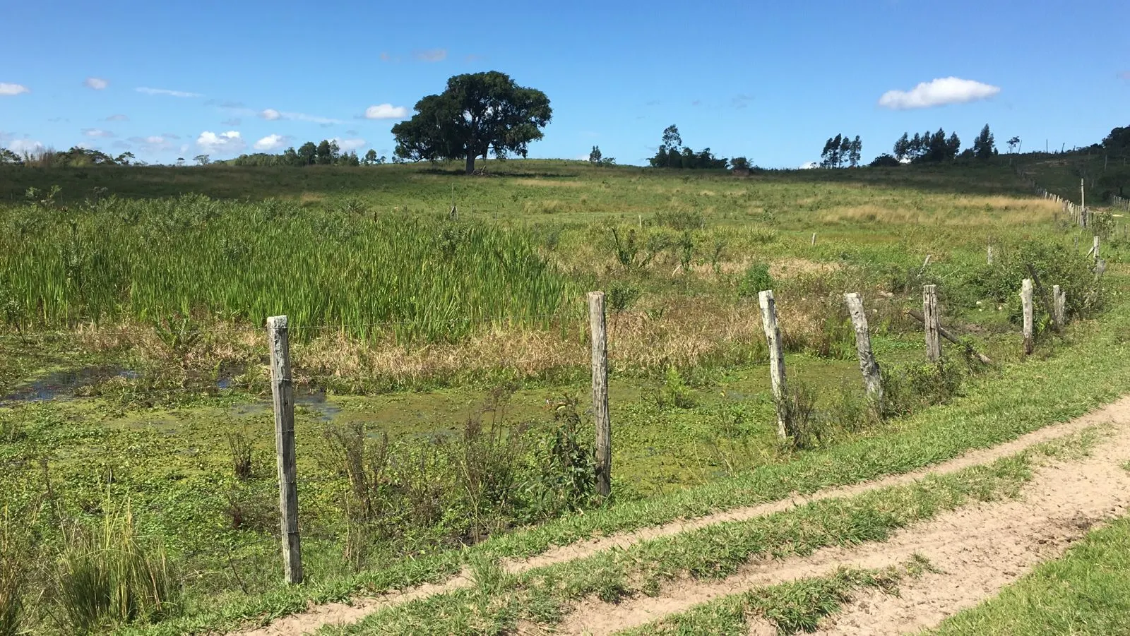 Fazenda à venda de 125 ha em Araruama, RJ, Brasil