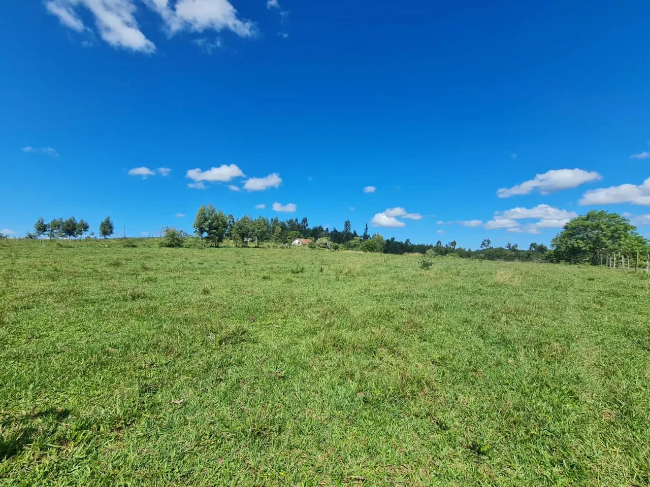 Fazenda à venda de 125 ha em Araruama, RJ, Brasil