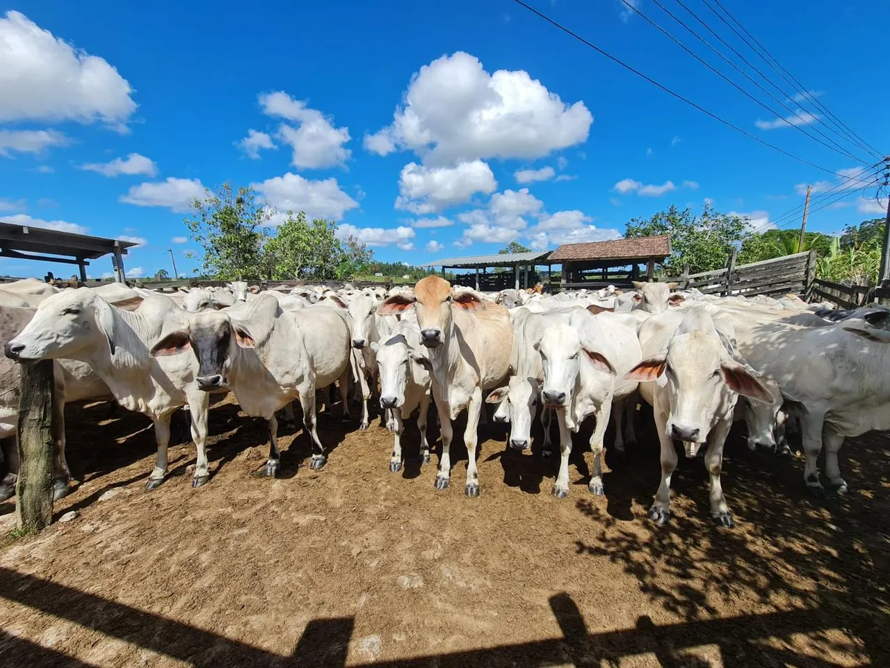 Fazenda à venda de 125 ha em Araruama, RJ, Brasil