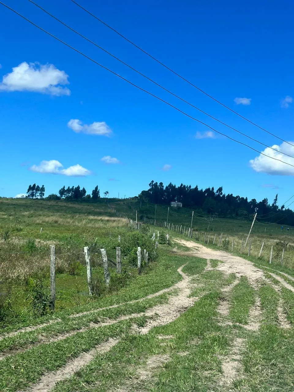 Fazenda à venda de 125 ha em Araruama, RJ, Brasil