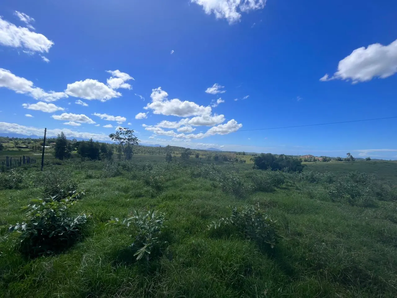 Fazenda à venda de 125 ha em Araruama, RJ, Brasil