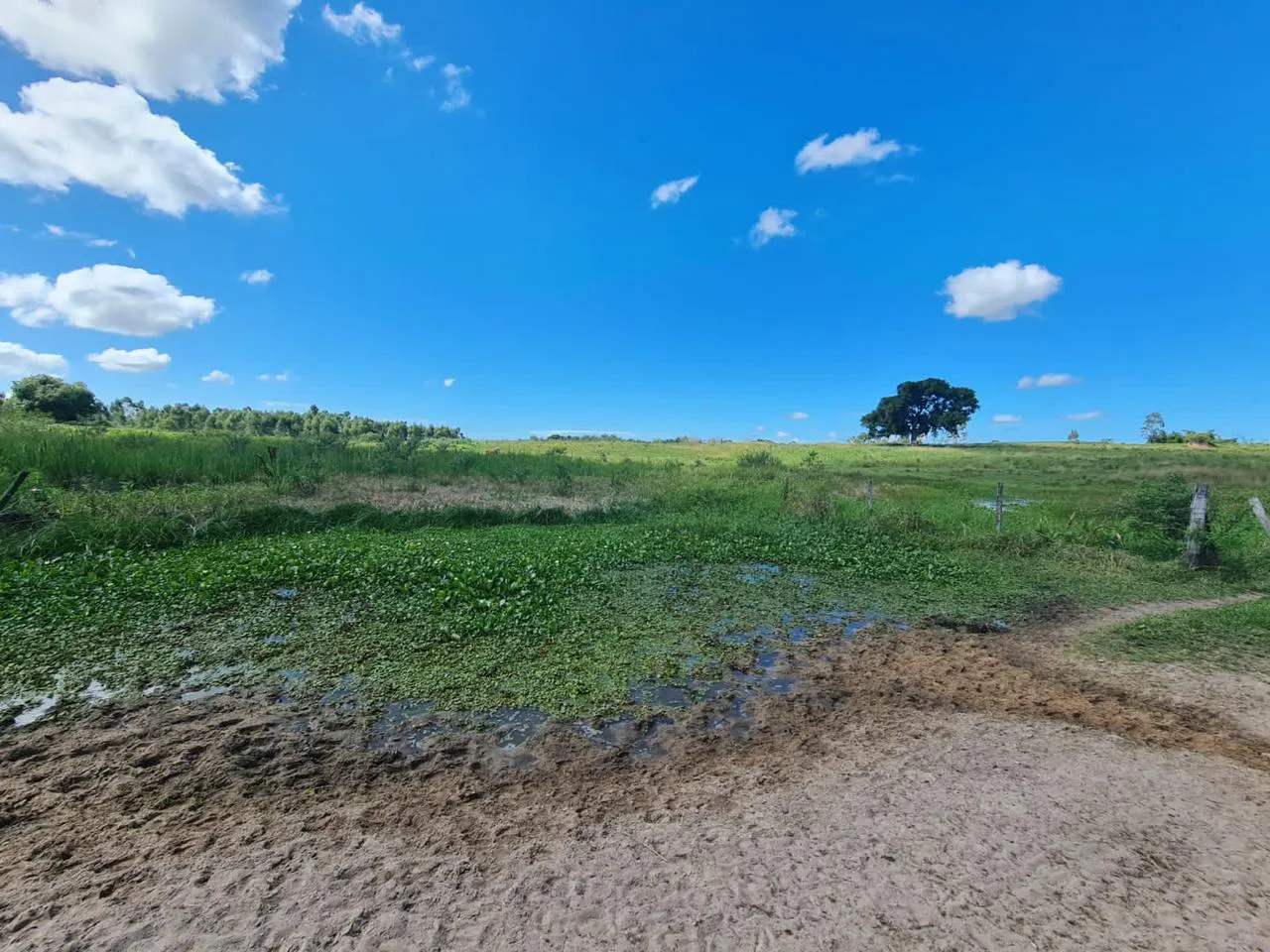 Fazenda à venda de 125 ha em Araruama, RJ, Brasil