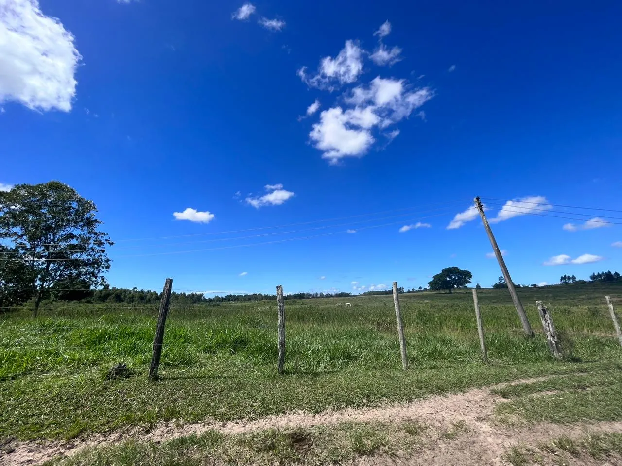 Fazenda à venda de 125 ha em Araruama, RJ, Brasil