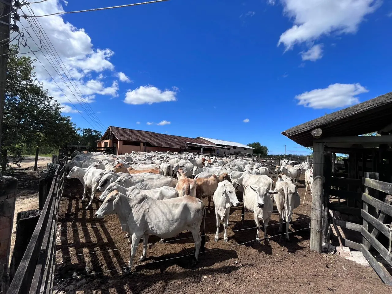 Fazenda à venda de 125 ha em Araruama, RJ, Brasil